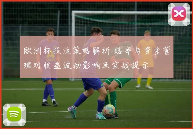 欧洲杯投注策略解析 赔率与资金管理对收益波动影响及实战提示